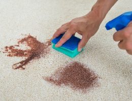موکت ، تمیز کردن موکت ، پاک کردن موکت ، شوینده موکت ، شستن موکت ، پاک کردن موکت ، شستشوی موکت ، موکت تمیز ، پاک کننده موکت
